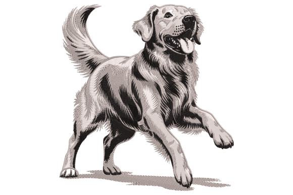 Download Golden Retriever Dog - Gold Collection
